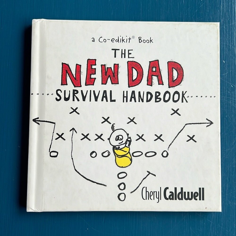 🌟 5/$20 The New Dad Survival Handbook